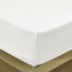 Abotex Pamut Jersey fehér gumis lepedő 140x200 cm