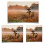  Csodaszarvas - Vászonkép (253985)