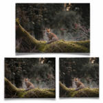  Róka az erődben - Vászonkép (242117)