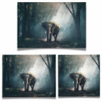  Csodálatos Elefánt - Vászonkép (475092)