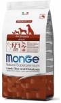 Monge Dry food for adult dogs, lamb & rice 2,5 kg