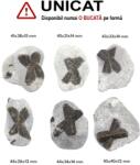  Staurolit - Piatra Crucii Bruta Naturala 41-45 x 26-40 x 12-15 mm - ( XXL ) - 1 Buc