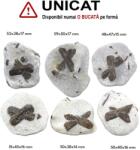  Staurolit - Piatra Crucii Bruta Naturala 48-59 x 38-50 x 14-17 mm - ( XXL ) - 1 Buc