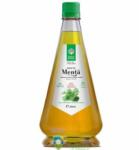 Santo Raphael Sirop de Menta 520 ml