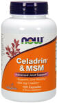 NOW Celadrin & MSM Ízületerősítő 500 mg (120 Kapszula)