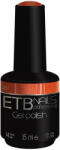 ETB Nails 251 Terracotta 15 ml (EN00251)