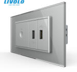 Livolo Intrerupator cu touch integrat wireless si priza dubla USB, 4M, cu rama sticla Livolo (VL-FC1R-2FCUS-1IP-P9E)