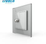 LIVOLO Priza simpla Satelit cu panou sticla, Livolo (VL-FCSL-1IP-P7E)