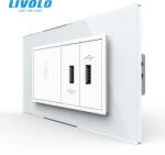 LIVOLO Intrerupator cu touch integrat si priza dubla USB, 4M, cu rama sticla Livolo (VL-FC1-2FCUS-2WP-P9E)