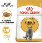 Royal Canin British Shorthair Adult - zoohobby - 449,00 RON