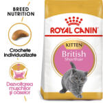 Royal Canin British Shorthair Kitten - zoohobby - 516,39 RON
