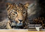 Persona Tapet Premium Canvas - Portretul unui leopard - tapet-canvas - 720,00 RON