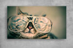 Persona Tablouri Canvas Animale - Retro cat - tapet-canvas - 150,00 RON