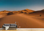 Persona Tapet Premium Canvas - Cerul albastru deasupra desertului - tapet-canvas - 340,00 RON