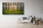 Persona Tablou Canvas - Dimineata in padure - tapet-canvas - 120,00 RON