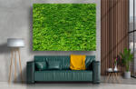 Persona Tablou Canvas - Zidul verde - tapet-canvas - 120,00 RON