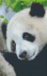 Pixelhobby Pixel szett 2 normál alaplappal, színekkel, panda