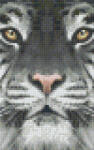 Pixelhobby Pixel szett 2 normál alaplappal, színekkel, tigris