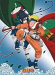 Abysse Corp Mini poster ABYstyle Animation: Naruto - Naruto vs Sasuke (ABYDCO773)