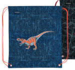 Herlitz sportzsák/tornazsák, Boy, Dinomania (H_2021_50034970_dino)
