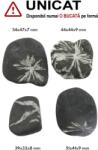 Piatra Crizantema Mineral Natural Rulat - 39-54 x 32-47 x 7-9 mm - ( XXL ) - 1 Buc