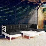 vidaXL Set mobilier de grădină cu perne, 7 piese, alb, lemn de pin (3097086) - comfy