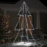 vidaXL Brad Crăciun conic, 300 LED-uri, 120x220 cm, interior&exterior (328588) - comfy