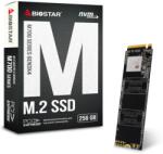 BIOSTAR M720 256GB M.2 (SI216PME36)