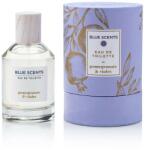 Blue Scents Pomegranate & Violet EDT 100 ml Parfum