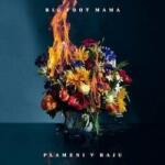 Big Foot Mama - Plameni V Raju (CD)