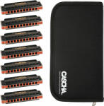 Cascha HH 2224 Professional Blues Set C-D-E-F-G-A-Bb Диатонична устна хармоника (HH2224)