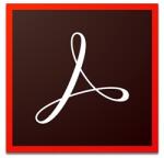 Adobe Acrobat Pro 2020 MLP (65324379AD01A00)