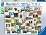 Ravensburger Vicces állatok kollázs 1500 db-os (16711)
