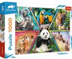 Trefl Animal Kingdom 1000 db-os (10672)