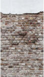 AA Design Fototapet perete vintage aspect de caramida si tencuiala The Wall (383331)