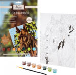 Art Sensations Set pictura pe numere 33, 5 x 23, 8 cm cu caluti