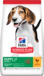 Hill's Science Plan Puppy Medium Chicken 2,5 kg