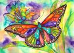 Nova Puzzle - Puzzle Fluture colorat - 1 000 piese Puzzle