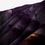 Whispering Sons Several Others - facethemusic - 11 290 Ft