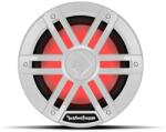 Rockford Fosgate M2D2-12S