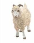 Papo Figurina Capra Angora, Papo Figurina