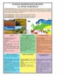 EURO-DLF Zonele biopedogeografice la nivel european - Plansa 700x1000mm, cu sipci (GP18)