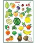 EURO-DLF Fruit/Vegetables and herbs (DUO) - Plansa viu colorata, cu 2 teme distincte
