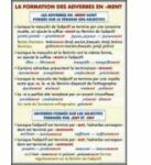 EURO-DLF Plansa dubla - La formation des adverbs en ment/ L'Imperatif (FP5)