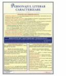 EURO-DLF Personajul literar. Caracterizare - Plansa, 700x1000mm, cu sipci (LR45)