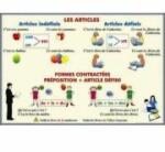 EURO-DLF Plansa dubla - Les Articles/ Adjectifs et Pronoms Demonstratifs (FP9)