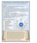 EURO-DLF Organizatia Natiunilor Unite - Plansa 700x1000mm, cu sipci ( IPL11)