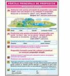 EURO-DLF Partile principale de propozitie - Plansa educativa