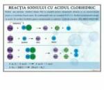 EURO-DLF Plansa - Reactia sodiului cu acidul clorhidric (CH14)