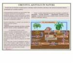 EURO-DLF Circuitul azotului in natura - Plansa 1000x700 mm, cu sipci (GP25)